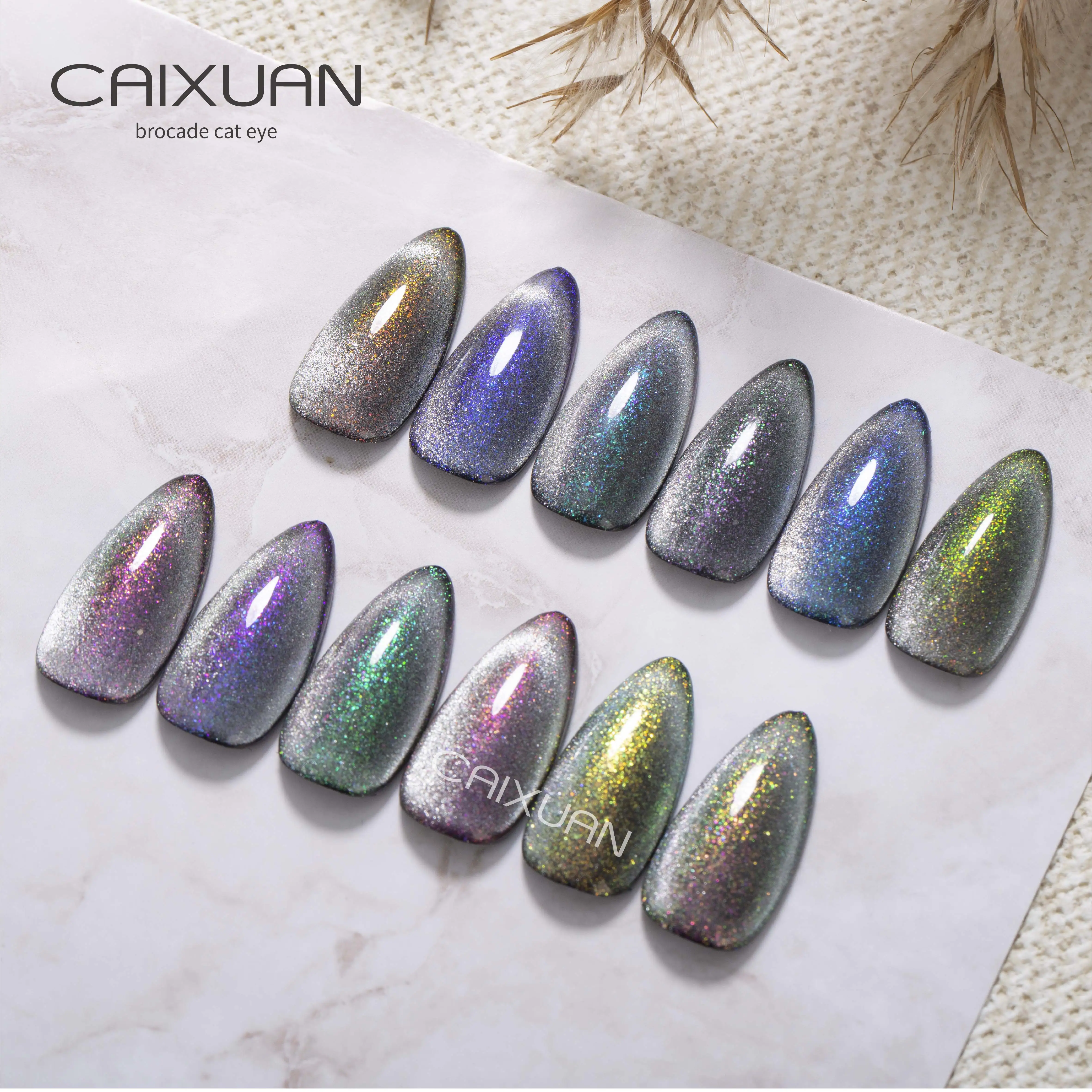 CX nail beauty manufacturer oem brocade Cat Eye Gel polish