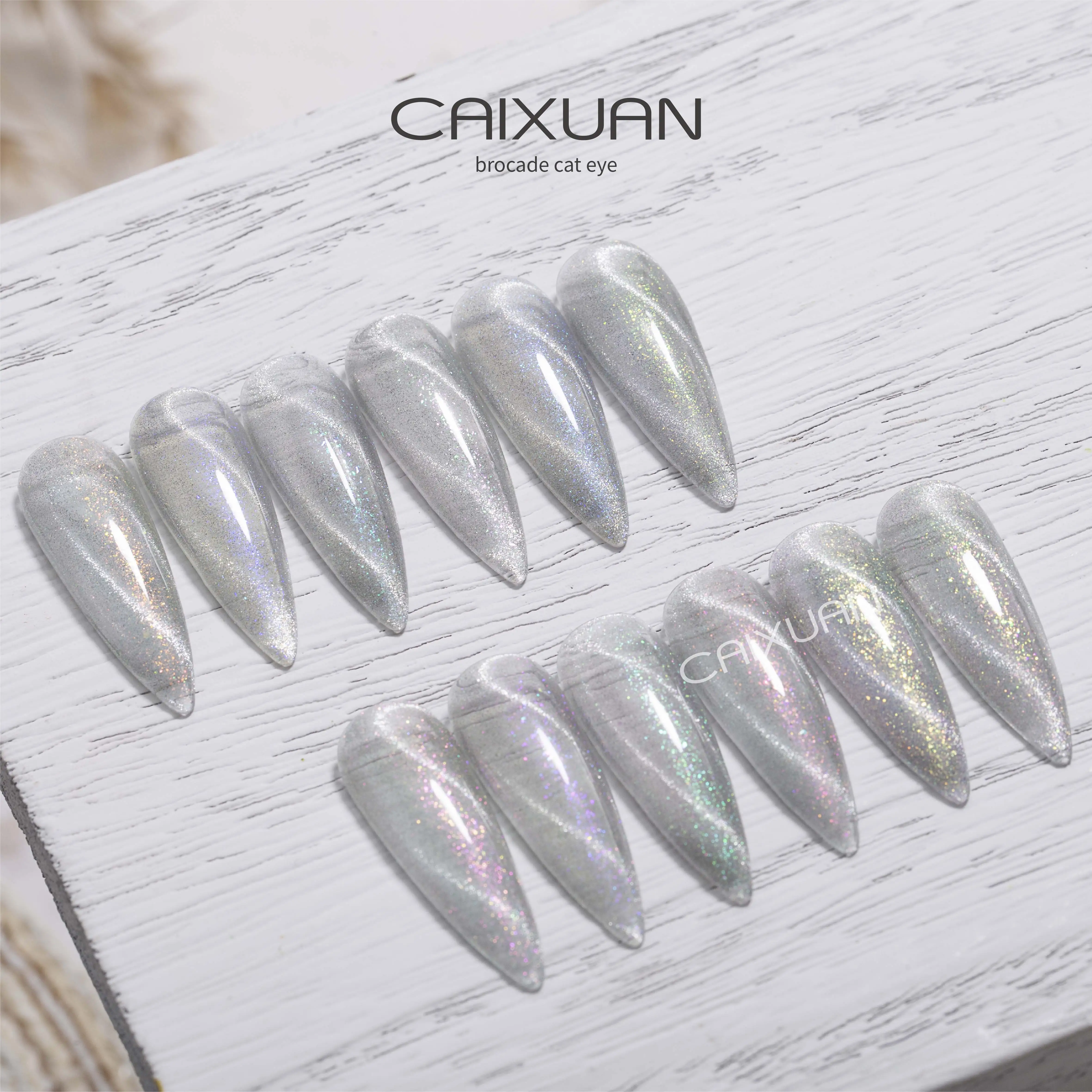 CX nail beauty manufacturer oem brocade Cat Eye Gel polish