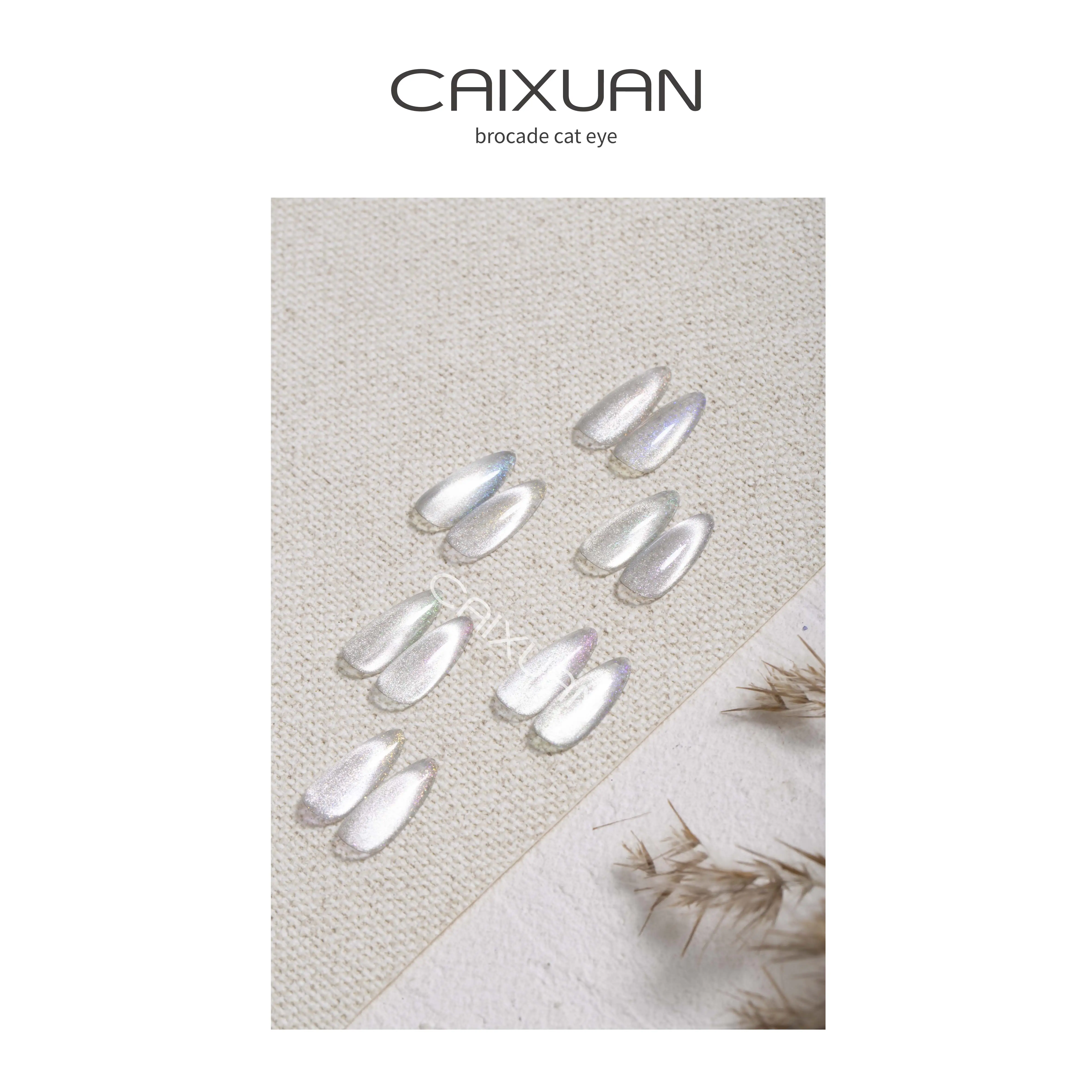 CX nail beauty manufacturer oem brocade Cat Eye Gel polish
