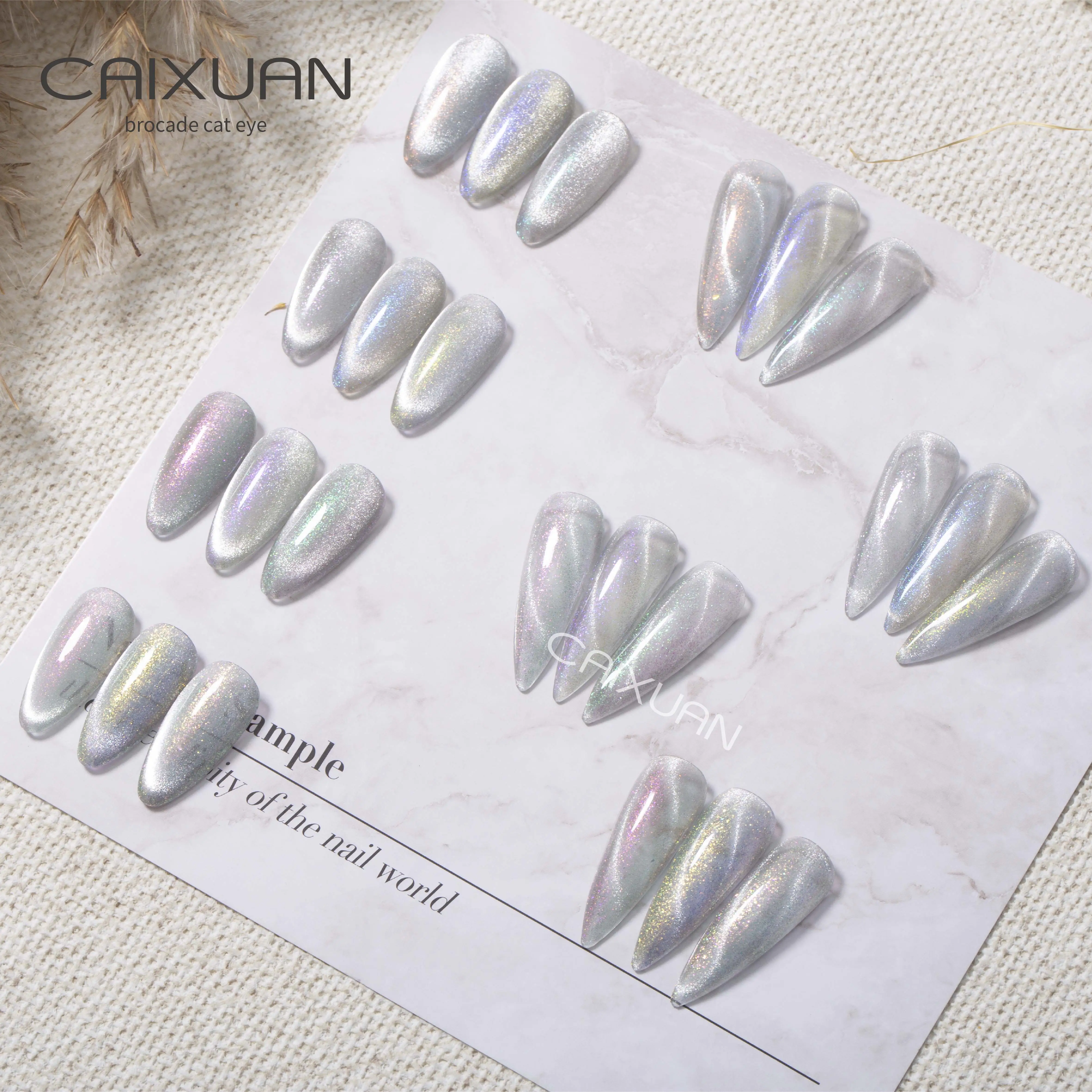 CX nail beauty manufacturer oem brocade Cat Eye Gel polish