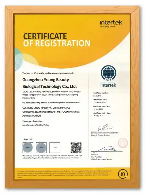 Certificate-11_480