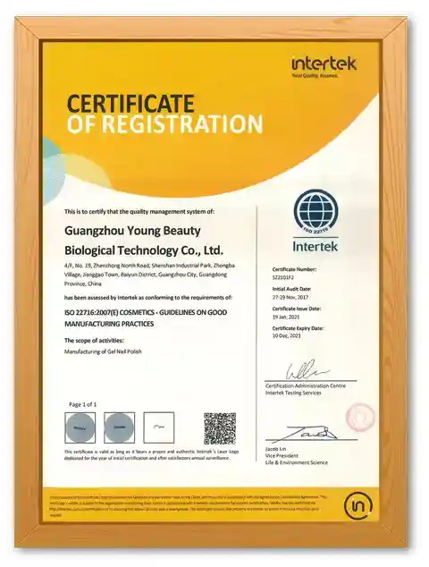 Certificate-12_480